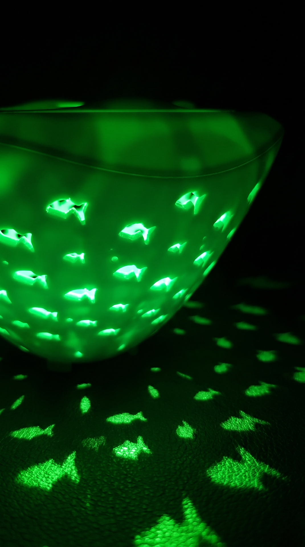 Living Fish Projections